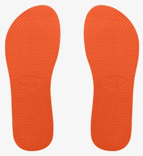Orange Png, Transparent Png, Free Download