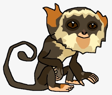 Monkey Png, Transparent Png, Free Download