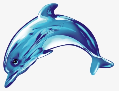 Cute Dolphin Png, Transparent Png, Free Download