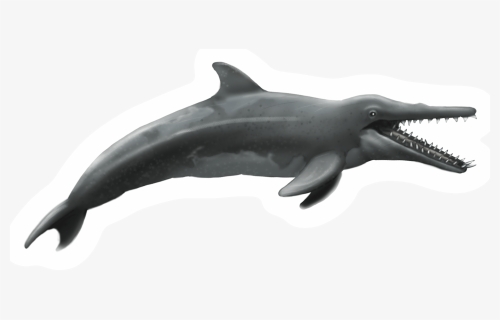 Dinosaur Dolphin , Png Download, Transparent Png, Free Download