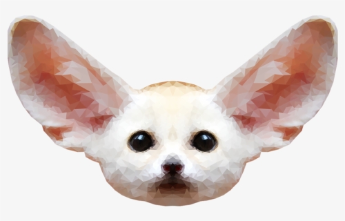 Fennec Fox Png Free Download, Transparent Png, Free Download