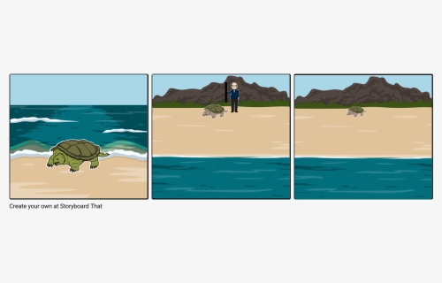 Turtle Png, Transparent Png, Free Download