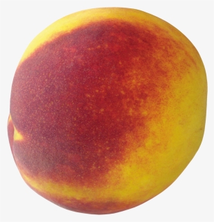 Download This High Resolution Peach Icon Png, Transparent Png, Free Download