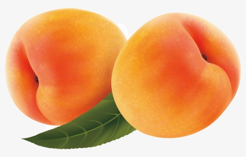 Fruit Peach Transprent Png Free Download, Transparent Png, Free Download