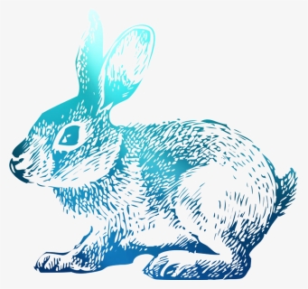 Domestic T-shirt Hoppy Rabbit Easter Bunny Clipart, HD Png Download, Free Download