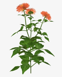 Png Download , Png Download, Transparent Png, Free Download