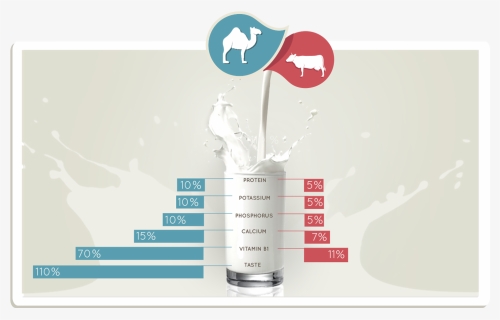 Camel Milk V Cow Milk, HD Png Download, Free Download