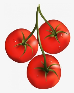 Download For Free Tomato Png Icon, Transparent Png, Free Download
