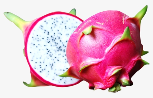 Dragon Fruit Png Image, Transparent Png, Free Download