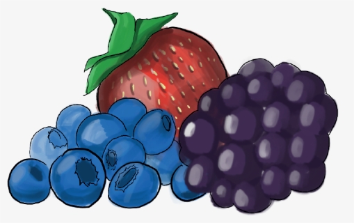Fruit, HD Png Download, Free Download