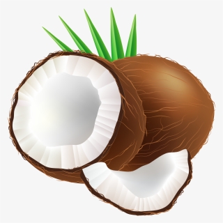Coconut Png Clip Art, Transparent Png, Free Download