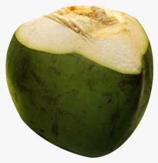 Coconut Free Png, Transparent Png, Free Download