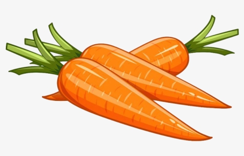Vector Carrot Png Picture, Transparent Png, Free Download