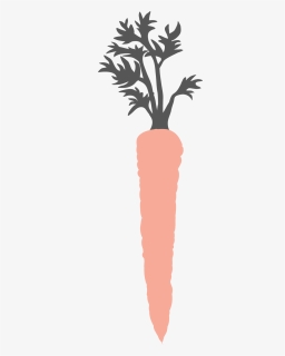 Carrot Png, Transparent Png, Free Download