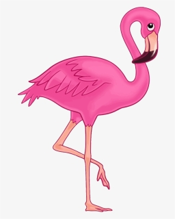 Flamingo Png, Transparent Png, Free Download