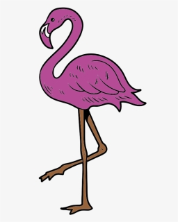 Flamingo Png, Transparent Png, Free Download