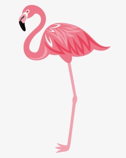 Flamingo Png, Transparent Png, Free Download