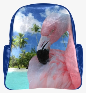 Transparent Pink Flamingo Png, Png Download, Free Download