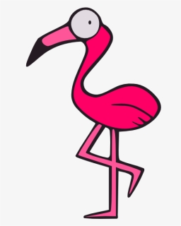 Flamingo Png, Transparent Png, Free Download