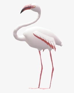 Flamingo Png, Transparent Png, Free Download