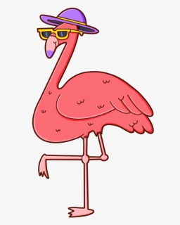 Flamingo, HD Png Download, Free Download