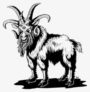 Goat Png, Transparent Png, Free Download