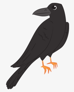 Raven Clipart, HD Png Download, Free Download