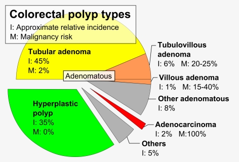 Pie Chart Of Colorectal Polyp Etiologies, HD Png Download, Free Download