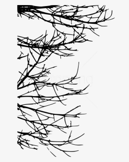 Free Png Tree Branch Png, Transparent Png, Free Download