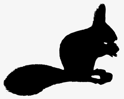 Squirrel Png, Transparent Png, Free Download