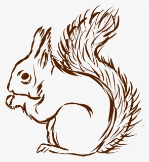 Squirrel-1577296289, HD Png Download, Free Download
