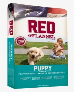 Red Flannel Puppy, HD Png Download, Free Download