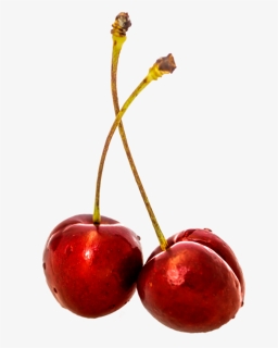 Cherry Png Image, Transparent Png, Free Download