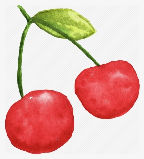Cherry, Cuisine, Food, Fruit, Fruits, Watercolor, Watercolors, HD Png Download, Free Download
