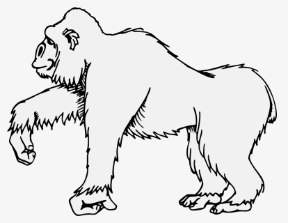 Gorilla Png, Transparent Png, Free Download