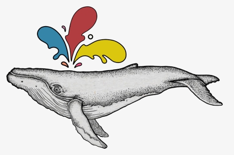 Whale Png, Transparent Png, Free Download