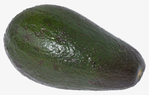 Avocado Png Image, Transparent Png, Free Download