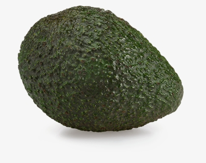 Avocado Png, Transparent Png, Free Download