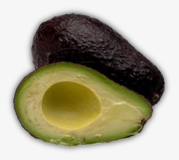 #png #pngs #avocado #avocados #vsco, Transparent Png, Free Download