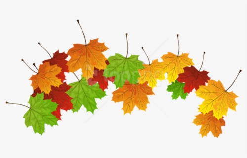Free Png Download Fall Leaves Clipart Png Photo Png, Transparent Png, Free Download