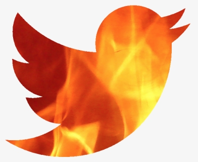Twitter Bird Logo Red , Png Download, Transparent Png, Free Download