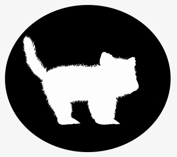 Kitten , Png Download, Transparent Png, Free Download