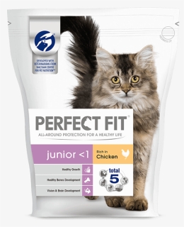 Transparent Kitten, HD Png Download, Free Download