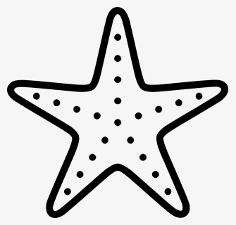 Starfish, HD Png Download, Free Download
