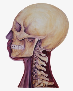 03 Heads Bone, HD Png Download, Free Download