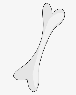 Bone Png, Transparent Png, Free Download