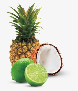 Lime Png, Transparent Png, Free Download