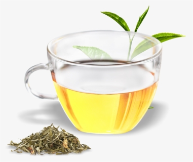 Buy Loose Leaf White Tea Online In India, HD Png Download, Free Download