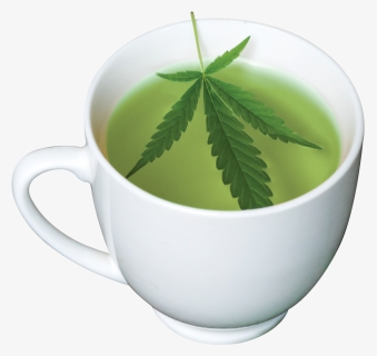 When/how To Drink Cbd Tea, HD Png Download, Free Download