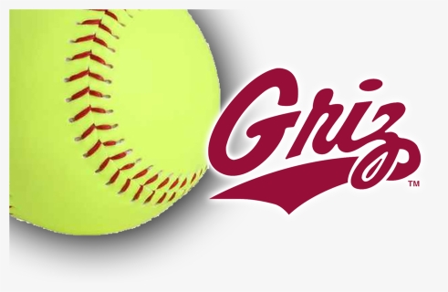 Softball Png Download Image, Transparent Png, Free Download